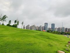 -合肥滨湖国家森林公园