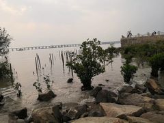 -宝安西湾红树林湿地公园