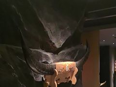 -敦煌神画 (三十三城店)