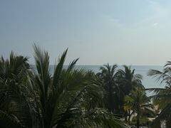 -日落吧·海景咖啡厅·餐酒吧·鸡尾酒·下午茶·乐队表演·浪漫夕阳·三亚文华东方酒店