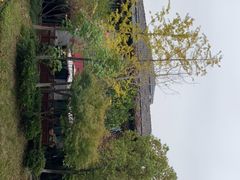 -河畔春天时尚餐厅