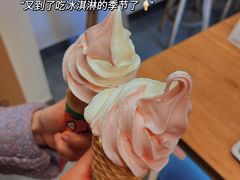 -蜜雪冰城