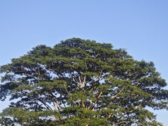 -风云岭森林公园