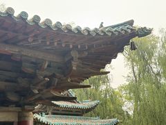 -晋祠博物馆