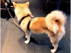 -BOCATA 西班牙餐厅(三里屯店)