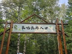 -汤旺河林海奇石景区