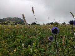 -白草畔自然风景区