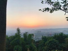 -铁山坪森林公园