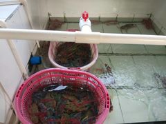 -鸿港海鲜批发市场