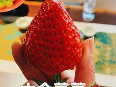 -金海华·华宴江南(斜塘店)