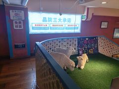 -撒拉花儿·新疆菜·清真(太阳宫店)