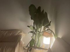 -和里合·颜愈SPA·Relax瑶浴·Massage(石厦店)