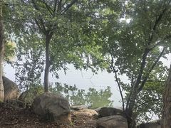 -白塘生态植物园