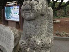 -涉地可支