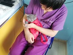 -瑞派福兴宠物医院犬猫全科·骨科·中西医结合(河东店)