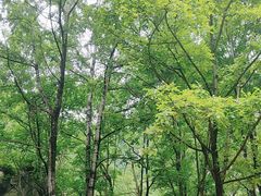 -秦岭终南山世界地质公园翠华山景区