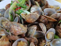 芒果螺-板桥海鲜广场(文明东店)