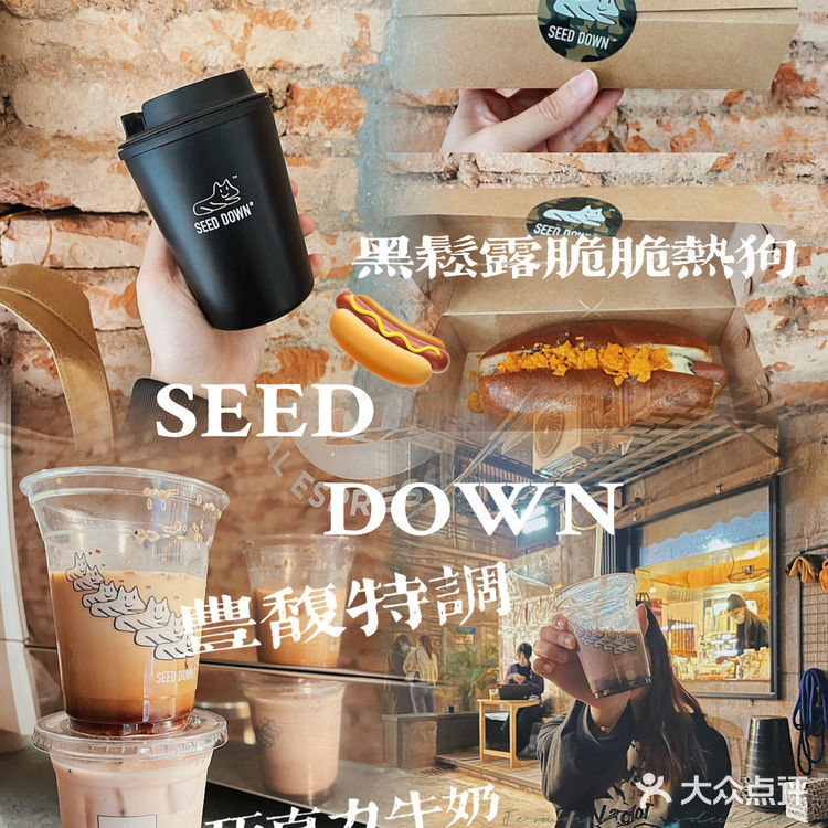 东山新晋打卡适档coffee SEED DOWN