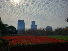 -白塘生态植物园