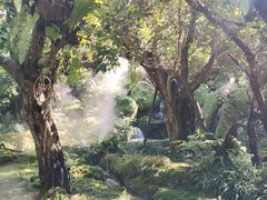 -Chom Cafe and Restaurant