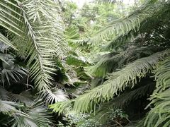 -龙达温泉生态城
