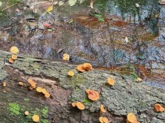 -东南悬空寺方广岩