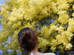 -厦门国家会计学院