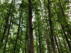 -坤济堂盲人推拿按摩