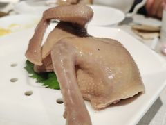 千禧盐水乳鸽-狮王府淮扬菜(夫子庙老门东店)