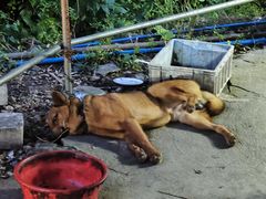 -大观园昆山峡漂流