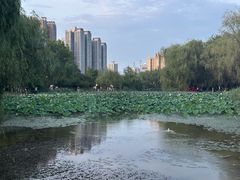 -咸阳湖景区