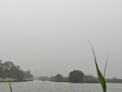-三垟湿地