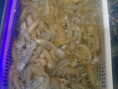 -盒马鲜生(红莲店)