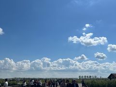 -盐城丹顶鹤湿地生态旅游区