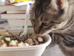 -超级碗FOODBOWL(成都来福士店)