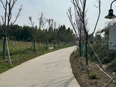 -圣露庄园·露营·烤肉·亲子