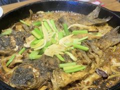 -老板恋上鱼(恒隆广场店)