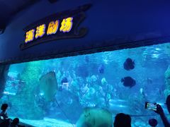 -南昌海洋公园