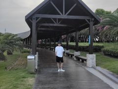 -碧海金沙