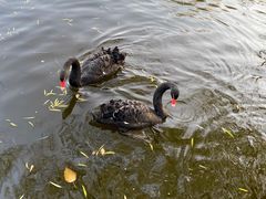 -石家庄市动物园