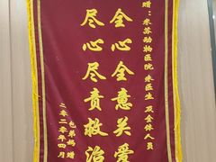 -米苏动物医院·犬猫专科·骨科外科内窥镜