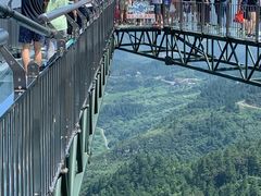 -梦幻奥陶纪景区