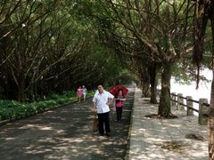 -大湾区中央湿地公园