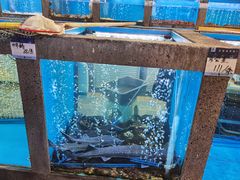 -鲜味食族水产·海鲜餐厅