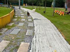 -合肥滨湖国家森林公园