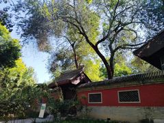 -元大都城垣遗址公园