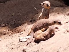 -鄂尔多斯野生动物园