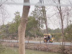 -合肥滨湖国家森林公园