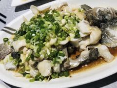 蒸鲈鱼-粤·向群饭店(龙津东路总店)