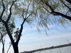 -太阳岛度假酒店